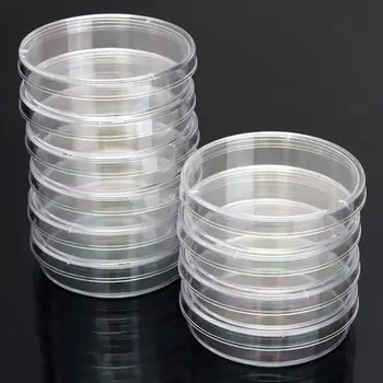 10Pcs Бактериална култура Dish 55x15mm 90x15mm Пластмасова прозрачна чиния на Петри с капаци Образователни пособия Училищни пособия